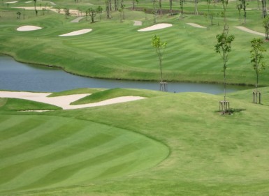 Bangkok New Golf Courses Package